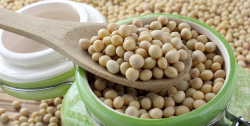 soja-dieta-emagrecer-acelerar-17628